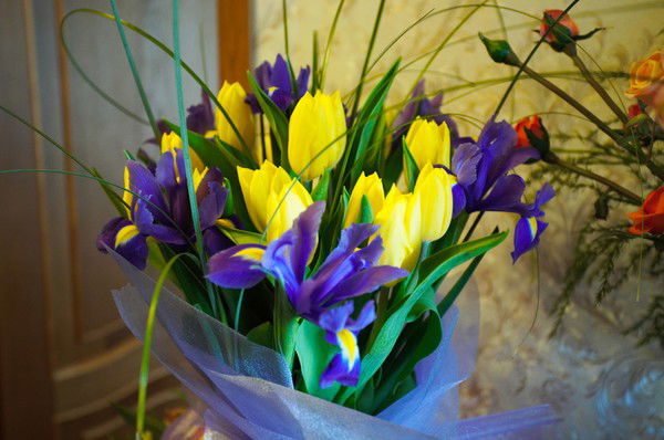 Татьяна Грунтова