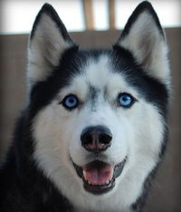 Лиза Маслова