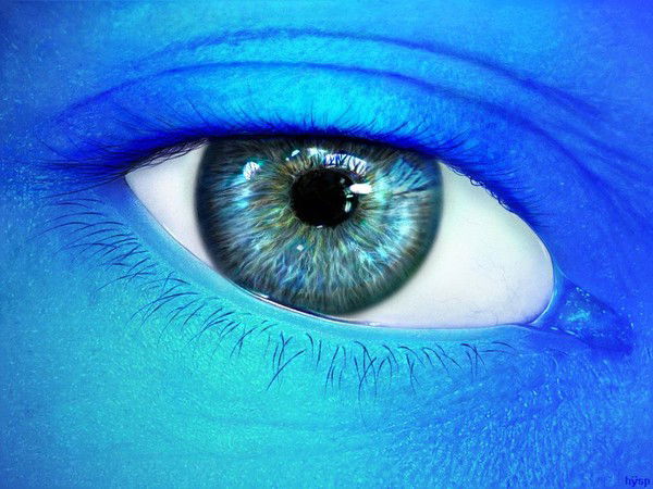 Алекс Крестовский