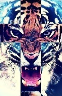 Сима Янакиев