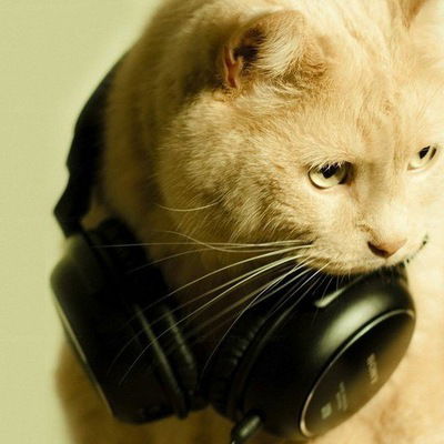 Андрей Кульмухамедов