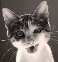 Алексей Ануфриев