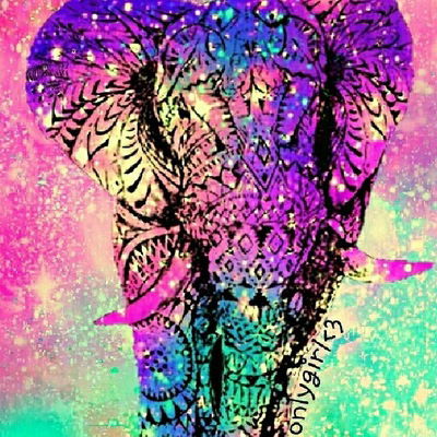 Снежана Жихарева