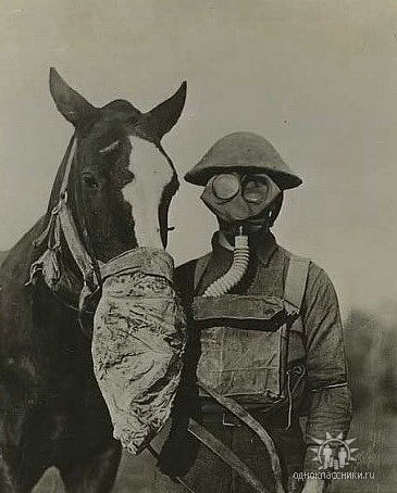 Александр Белов