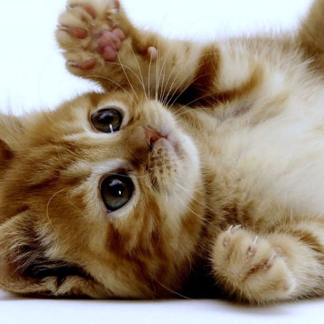 Жанна Хабарова