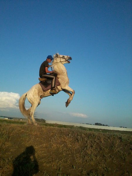 Денис Шимохин