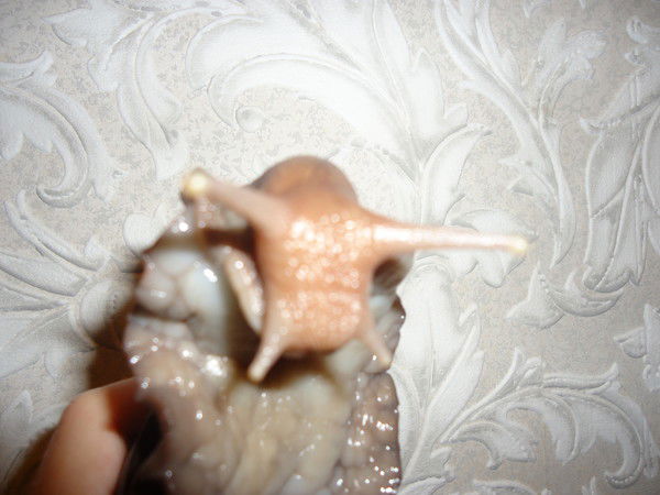 Настя Вейнгардт