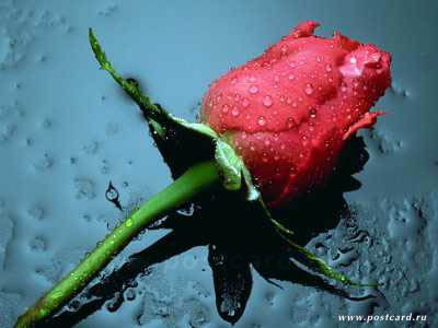 Расул Барлыбаев