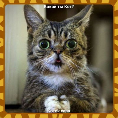 Дима Красноперов