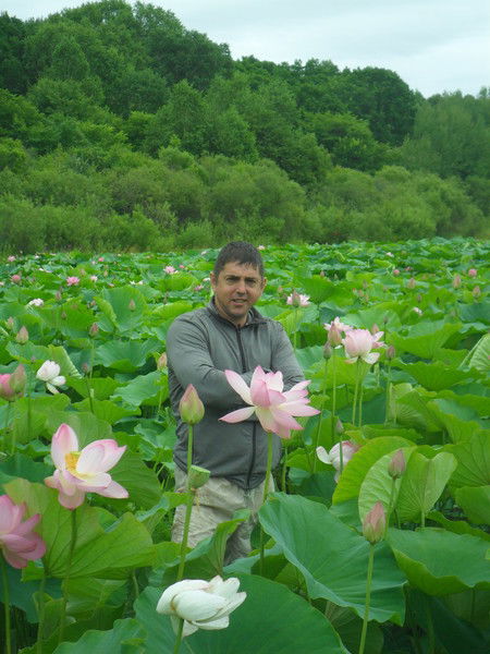 Роман Кривоносов