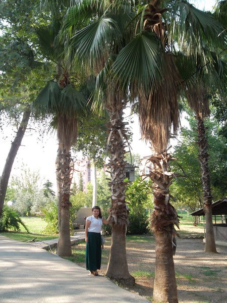 Ырысжан Аяпбергенова