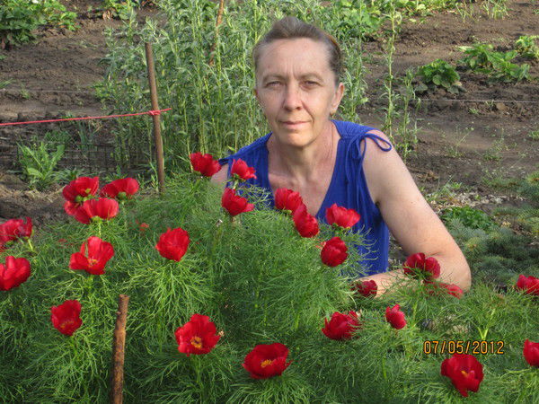 Ираида Чернышова