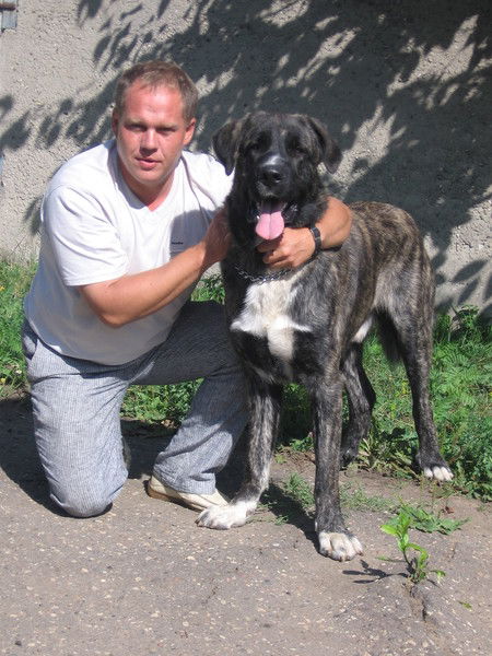 Евгений Сарпов