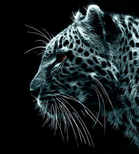 Дамир Гатиятов