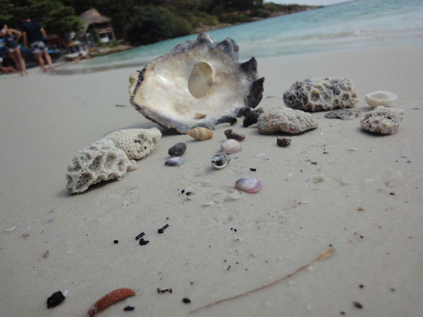 Анастасия Рядчикова