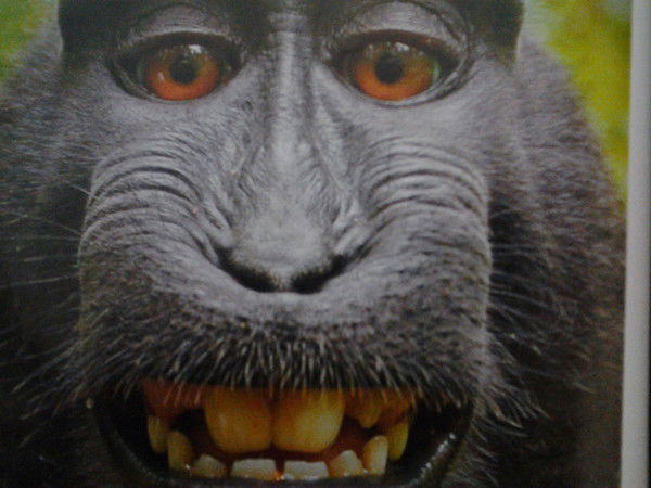 Илья Верясов