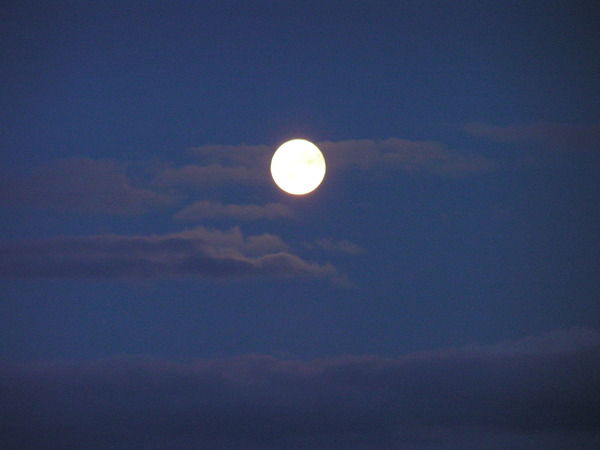 Галина Лупина