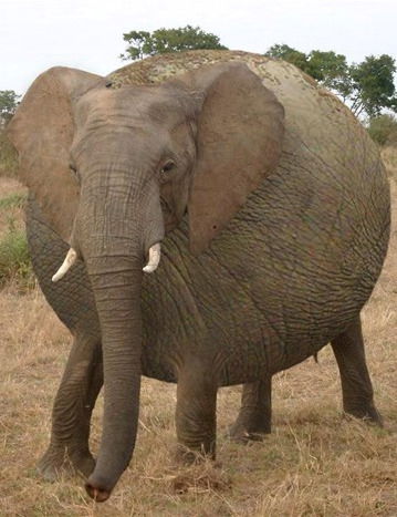 Сергей Якунин