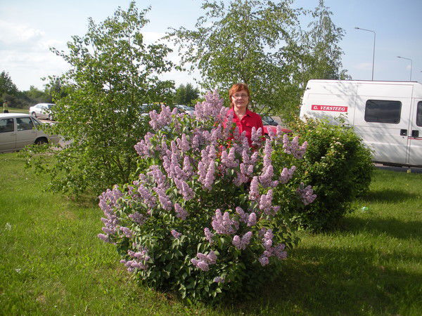 Ирина Лукашевич