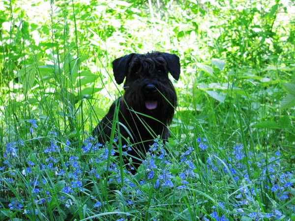 Татьяна Ляшенко