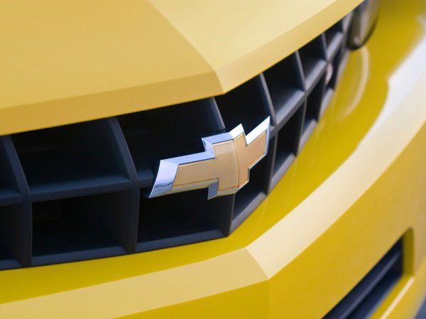 Давид Штельтер