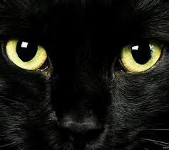 Анастасия Погорелая