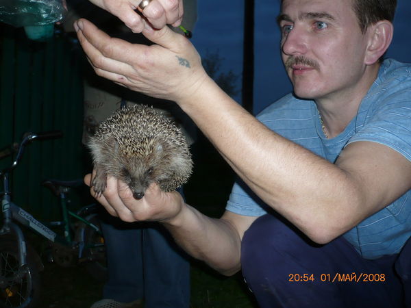 Александр Венцковский