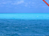 Ольга Хисматулина