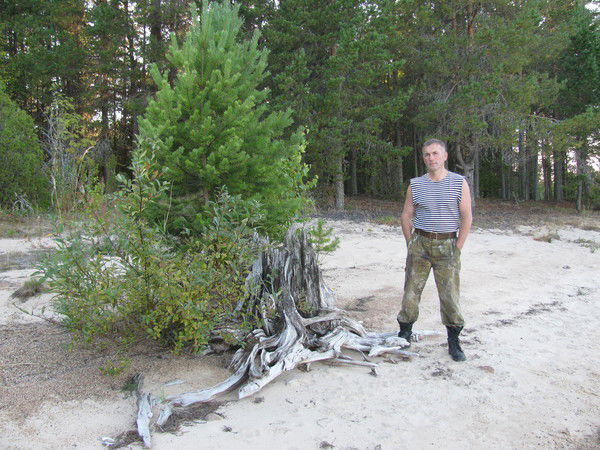 Владимир Чекменёв