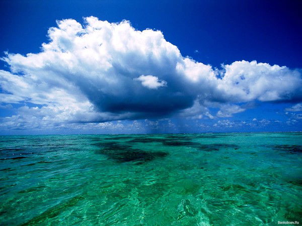 Светлана Смирнова