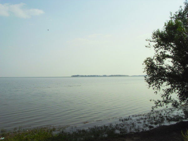 Владимир Бауков