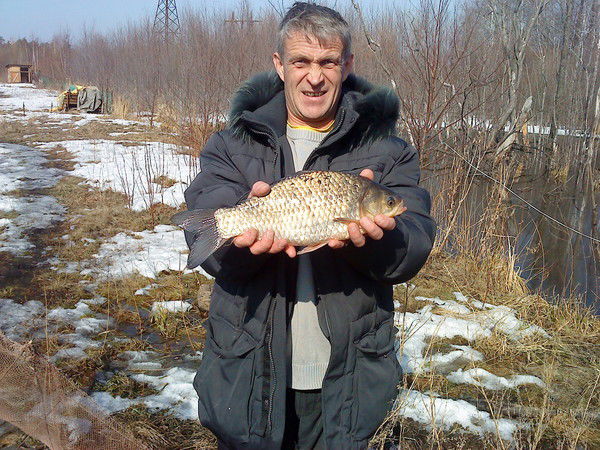 Тихон Прокопченко