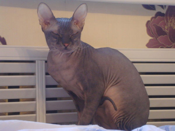 Сергей Турков