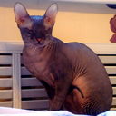 Сергей Турков