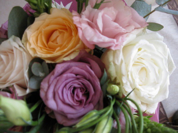 Галина Рождественская