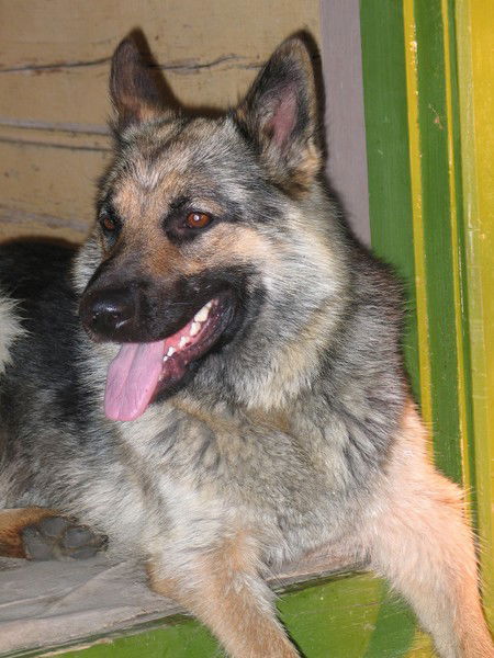 Черепанова Марина