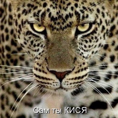 Что теплее три рубашки или рубашка тройной толщины почему. Смотреть фото Что теплее три рубашки или рубашка тройной толщины почему. Смотреть картинку Что теплее три рубашки или рубашка тройной толщины почему. Картинка про Что теплее три рубашки или рубашка тройной толщины почему. Фото Что теплее три рубашки или рубашка тройной толщины почему