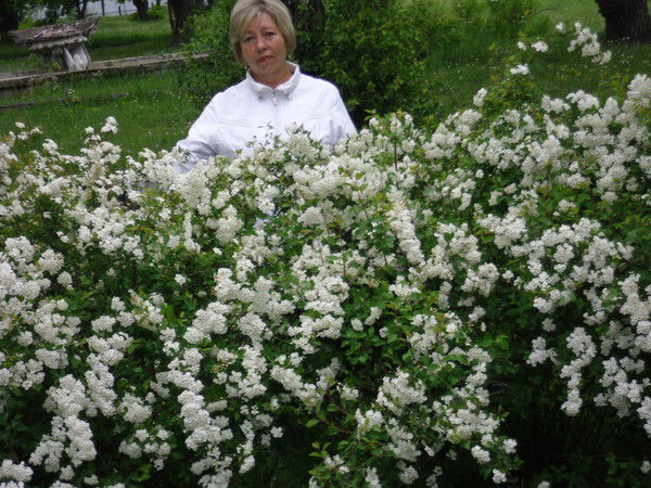 Светлана Доброхотова