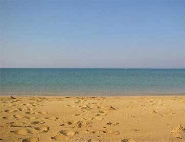 Азизбек Камалов