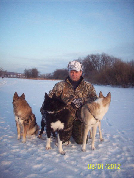 Дмитрий Кудельницкий