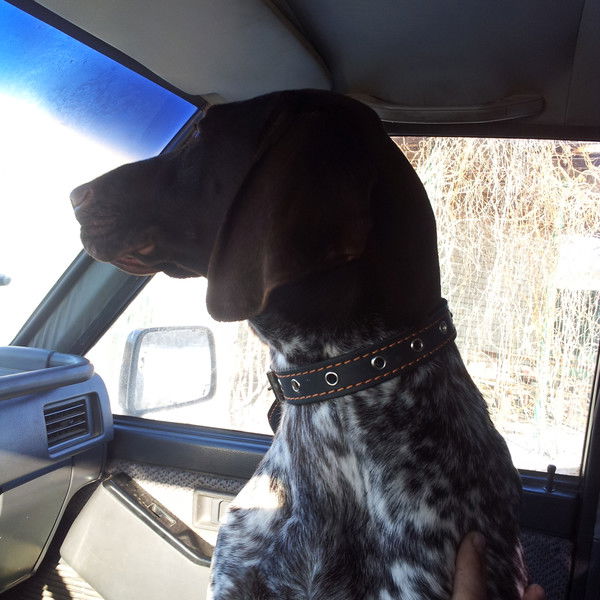 Сергей Горбунов