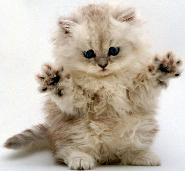 Татьяна Зимарева