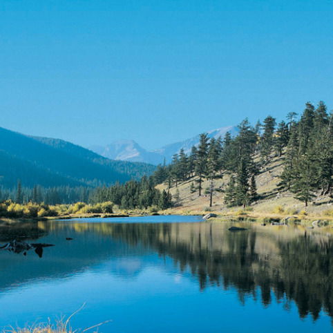 Любовь Литвинова