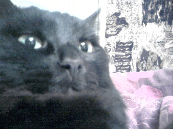 Марина Разумова