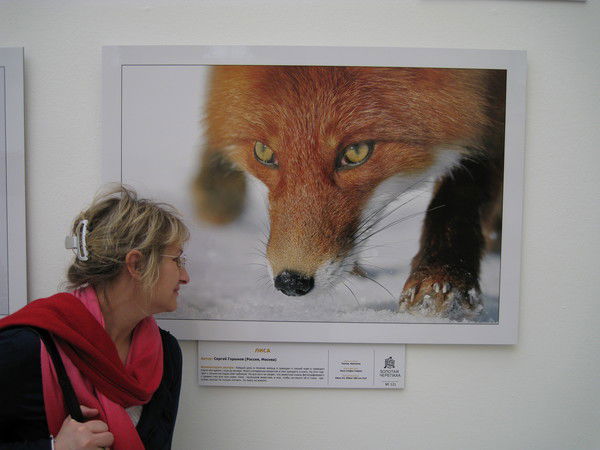 Светик Семицветик