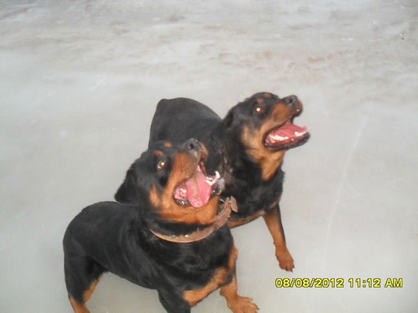 Назира Турсунова