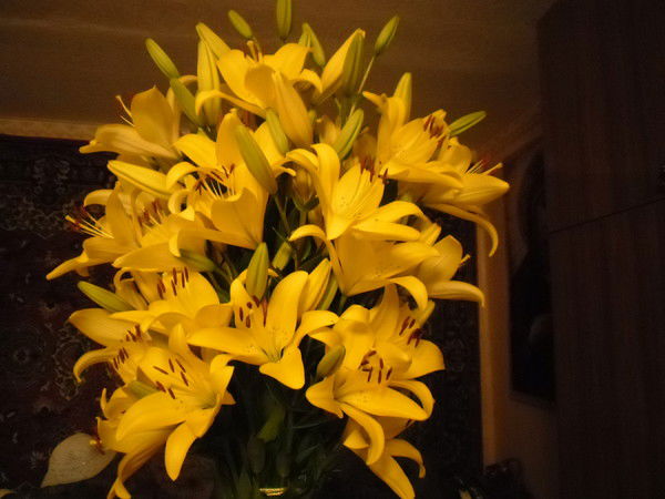 Ирина Сучилина