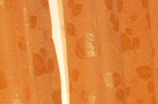 Светлана Кустарникова