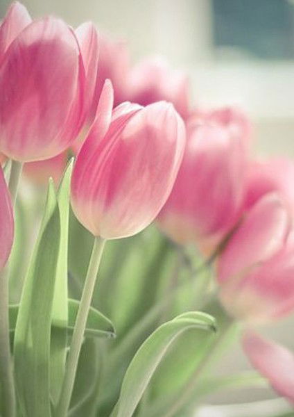 ***bakhyt*** ***********