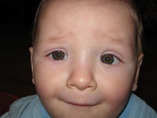 Леонид Никулин